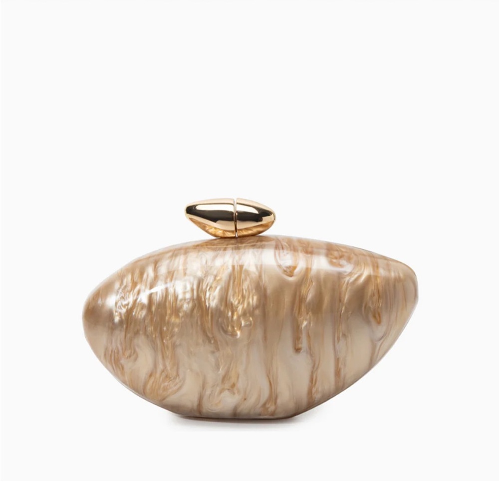 Zariya Acrylic Clutch Bag